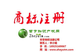 哲宇知識(shí)產(chǎn)權(quán)代理 圖 廣東國際商標(biāo)公司 國際商標(biāo)高清圖片 高清大圖